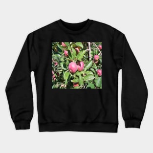 Apple tree Crewneck Sweatshirt